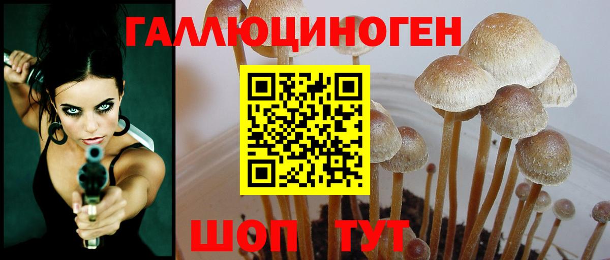 Псилоцибиновые грибы MAGIC MUSHROOMS Кызыл